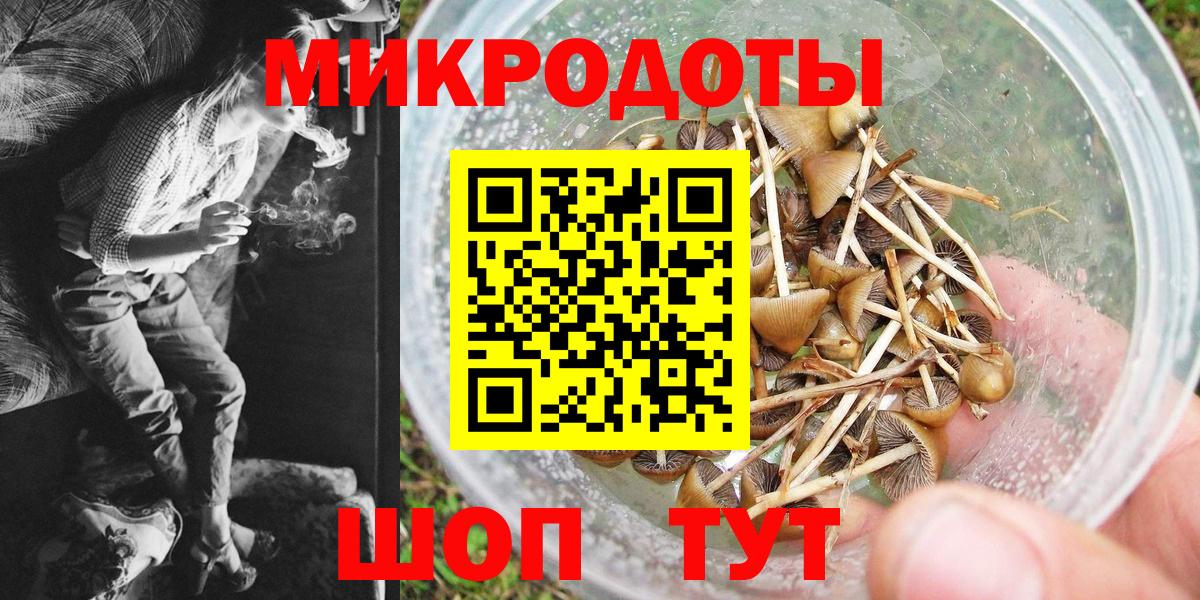 Псилоцибиновые грибы GOLDEN TEACHER  Вход с VPN  Кинель 